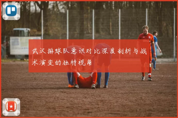 武汉排球队意识对比深度剖析与战术演变的独特视角