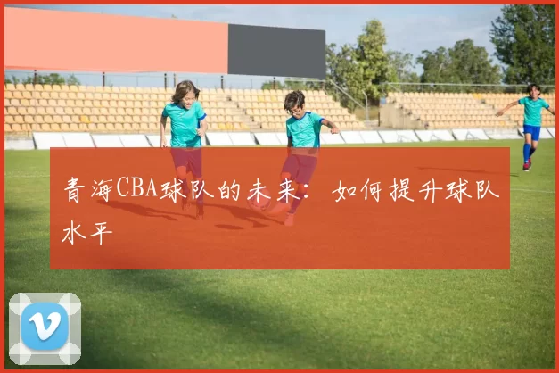 青海CBA球队的未来：如何提升球队水平