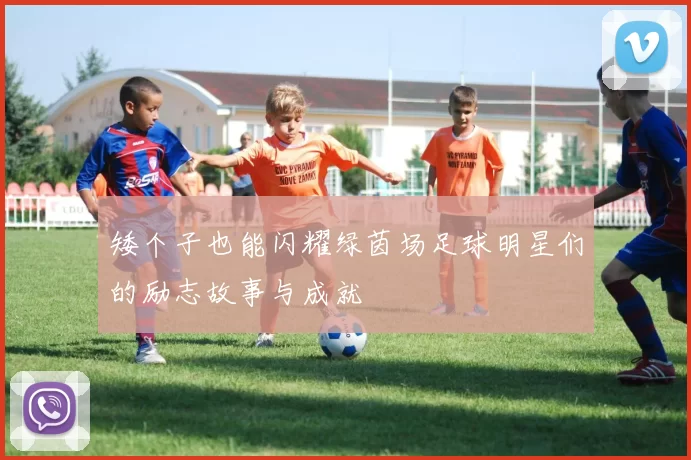 矮个子也能闪耀绿茵场足球明星们的励志故事与成就