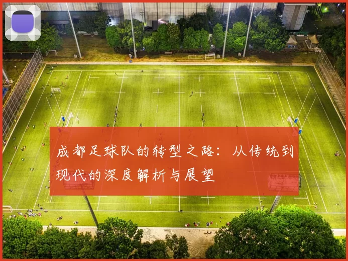 成都足球队的转型之路：从传统到现代的深度解析与展望