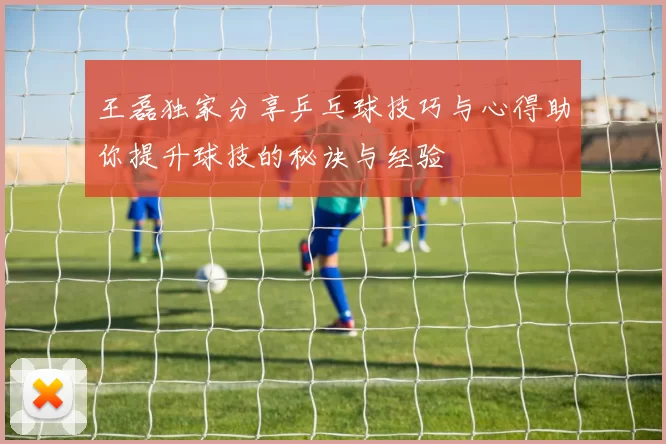 王磊独家分享乒乓球技巧与心得助你提升球技的秘诀与经验