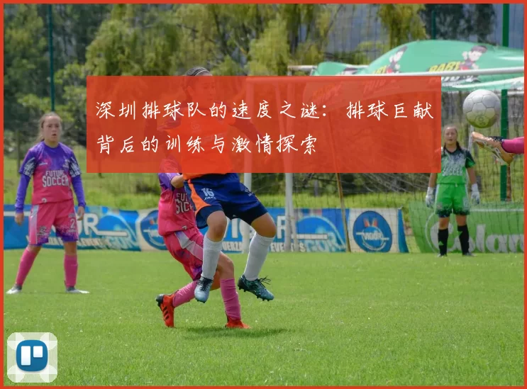 深圳排球队的速度之谜：排球巨献背后的训练与激情探索