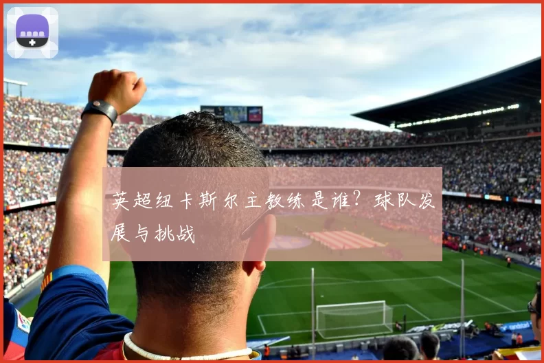 英超纽卡斯尔主教练是谁？球队发展与挑战