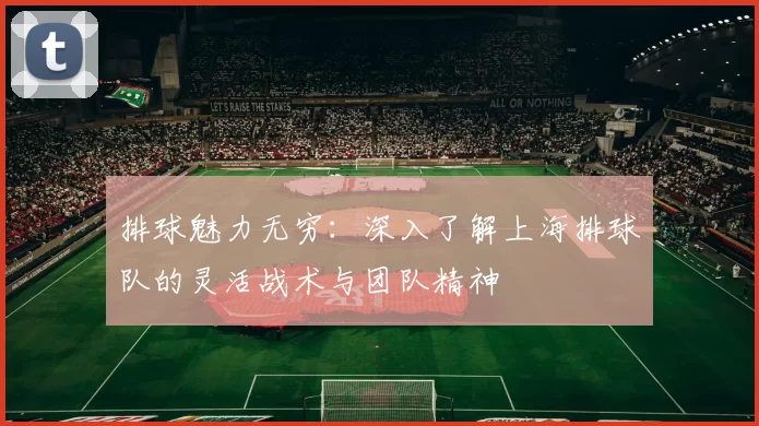 排球魅力无穷：深入了解上海排球队的灵活战术与团队精神