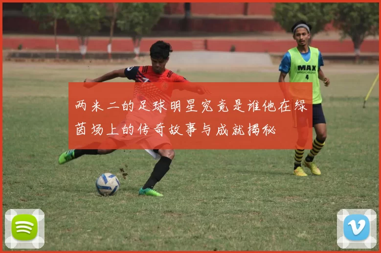 两米二的足球明星究竟是谁他在绿茵场上的传奇故事与成就揭秘
