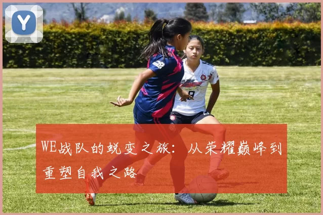 WE战队的蜕变之旅：从荣耀巅峰到重塑自我之路