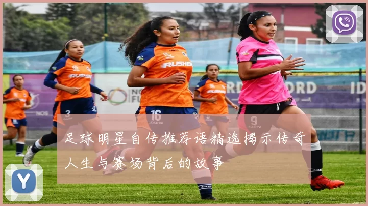 足球明星自传推荐语精选揭示传奇人生与赛场背后的故事