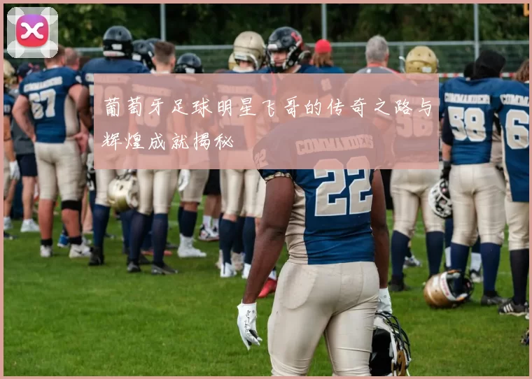 葡萄牙足球明星飞哥的传奇之路与辉煌成就揭秘