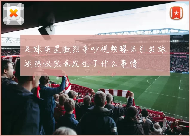足球明星激烈争吵视频曝光引发球迷热议究竟发生了什么事情