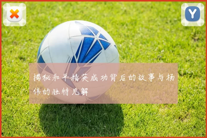 揭秘和平精英成功背后的故事与杨伟的独特见解