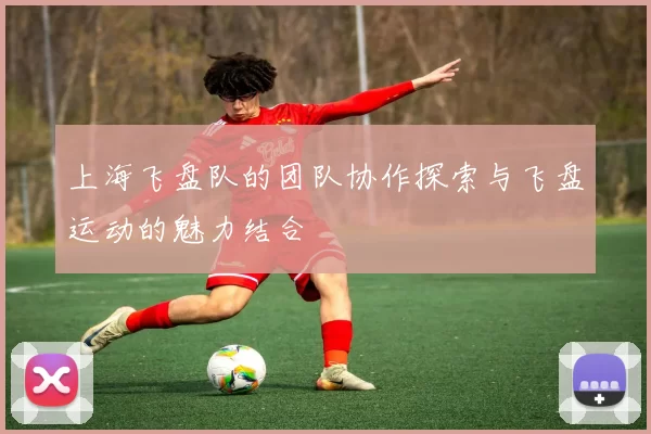 上海飞盘队的团队协作探索与飞盘运动的魅力结合