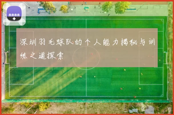 深圳羽毛球队的个人能力揭秘与训练之道探索