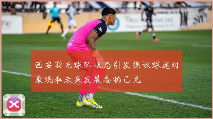 西安羽毛球队状态引发热议球迷对表现和未来发展各执己见