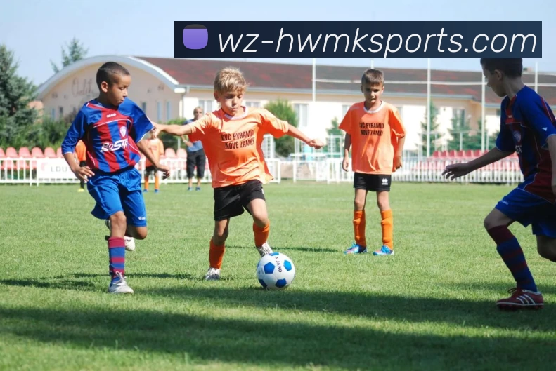 MK体育品牌故事