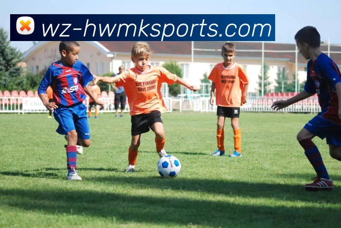 MK体育服务体系